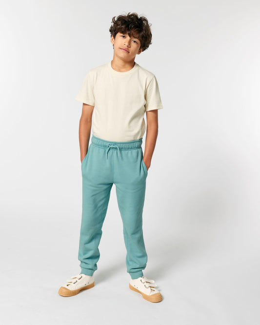 Mini Mover 2.0 - STSK183 - Teal Monstera