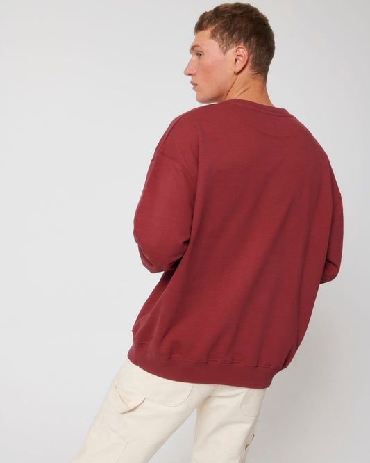 Ledger Dry - STSU798 - Red Earth